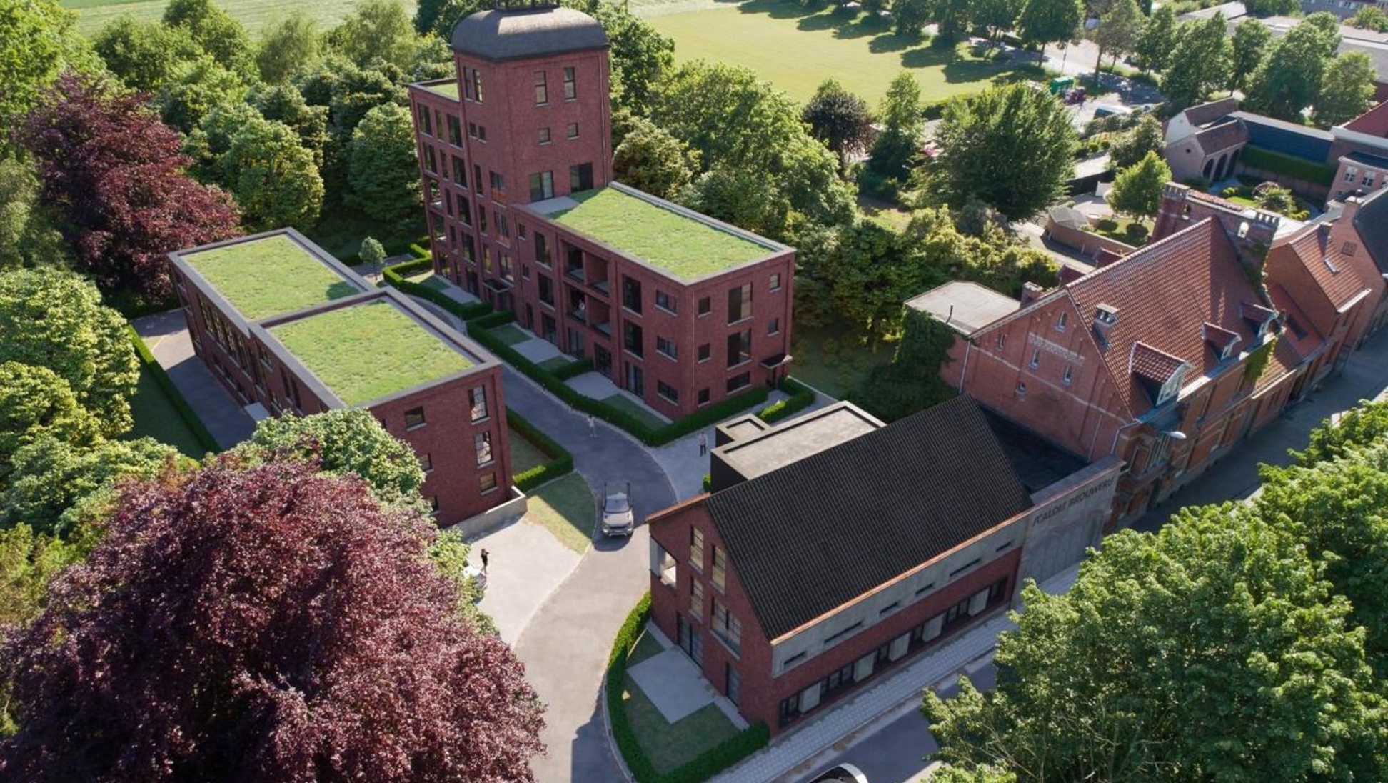 Brouwerij scaldis TREE TOPS REAL ESTATE